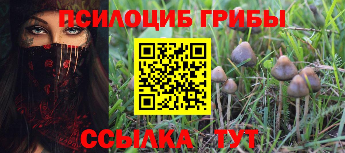 Абинск  как найти закладки  Вход с VPN  Галлюциногенные грибы MAGIC MUSHROOMS  Галлюциногенные грибы Cubensis 