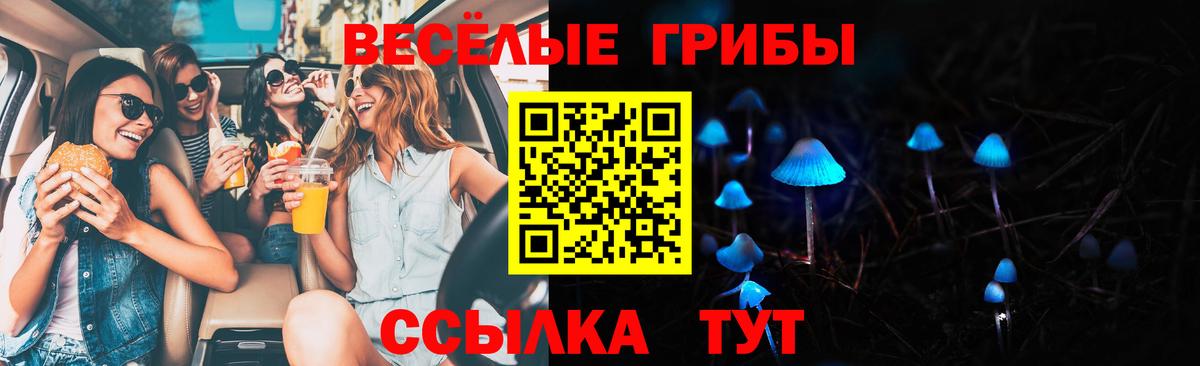 Псилоцибиновые грибы мухоморы Абинск